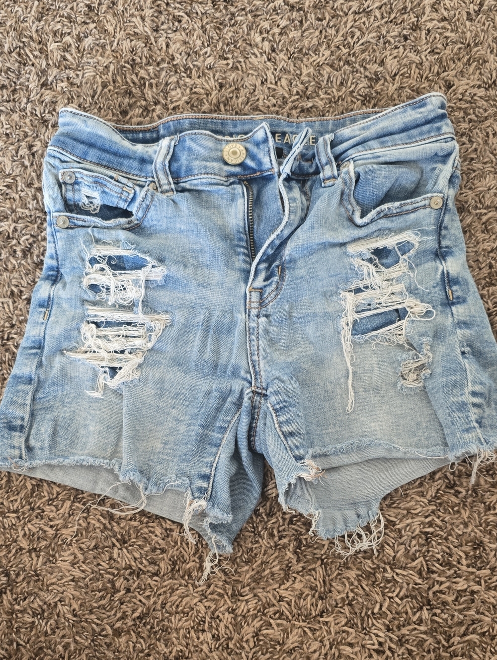 DONATING TODAY--Light Blue Distressed Women's Denim Shorts